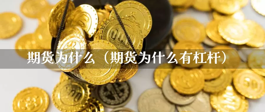 期货为什么（期货为什么有杠杆）_https://www.ncforging.com.cn_期货开户_第1张